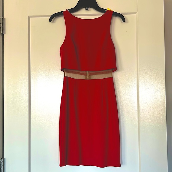 Bailey 44 dress with mesh mid-section - Picture 2 of 3